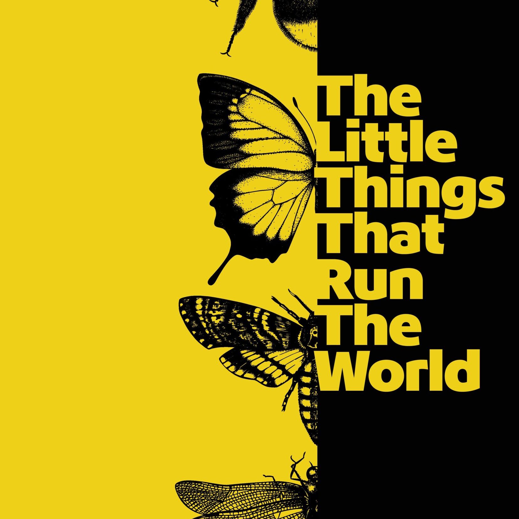 2026 April Ecofilm: The Little Things that Run the World - logo